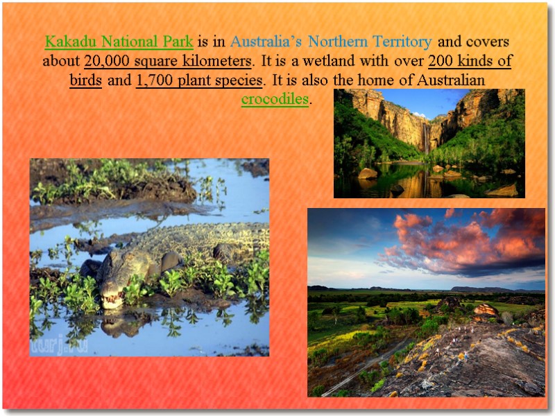 Kakadu National Park is in Australia’s Northern Territory and covers about 20,000 square kilometers.